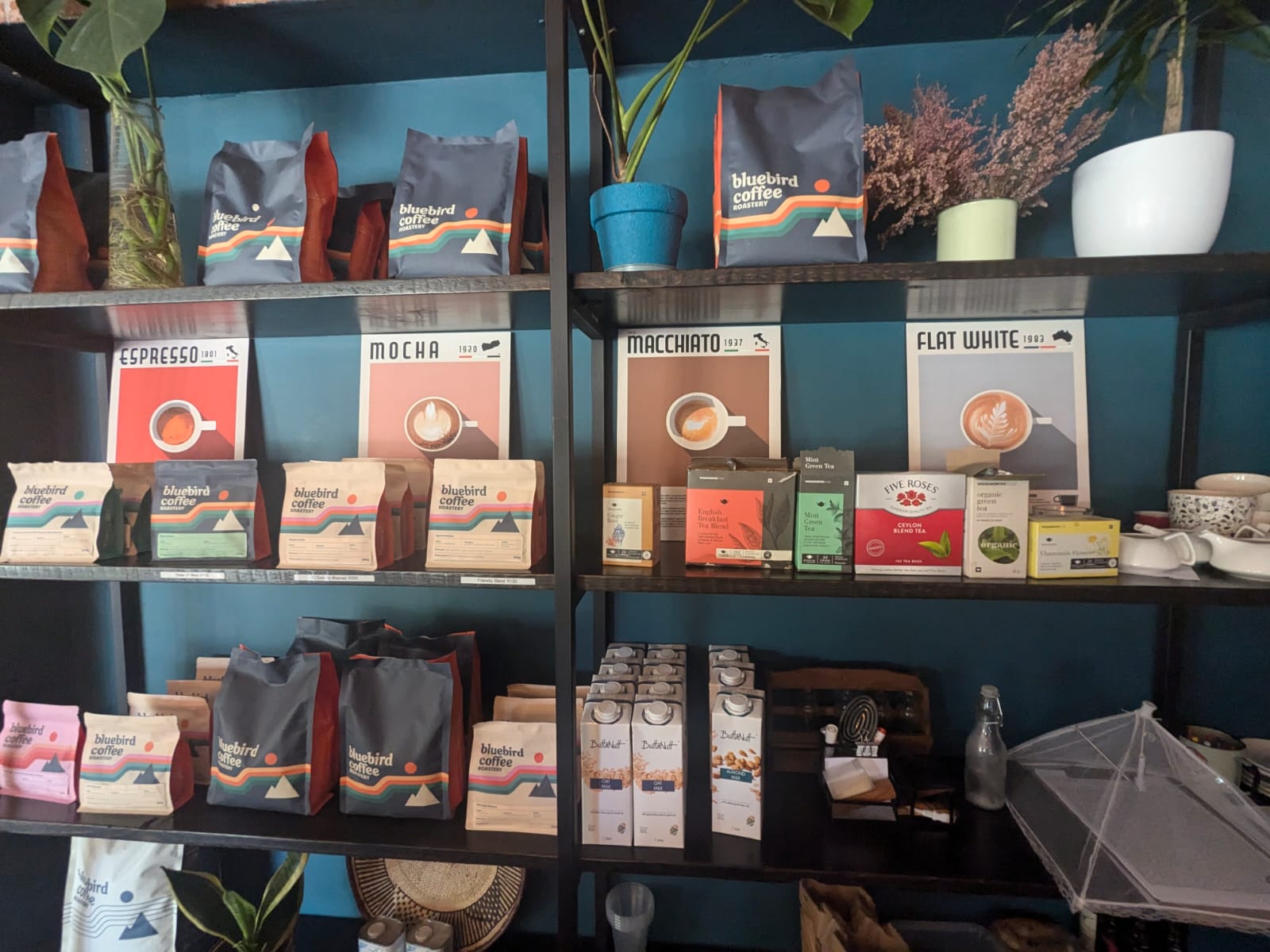Bluebird coffee and tea displayed inside Coffee Craft
