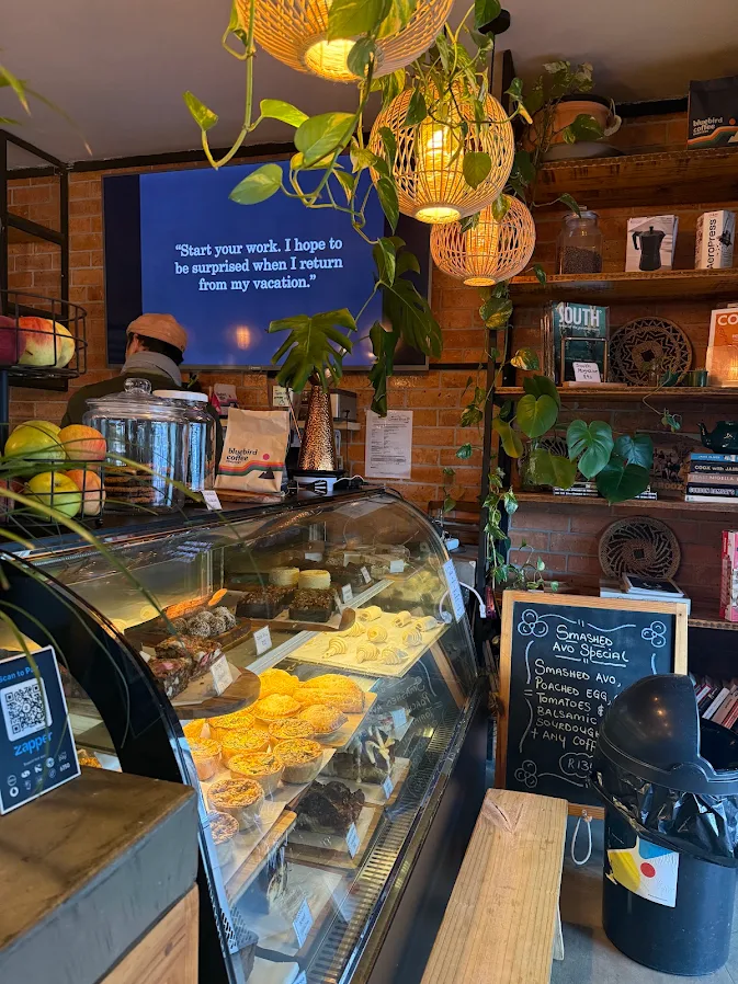 Coffee Craft pastry counter beneath woven lights and trailing plants